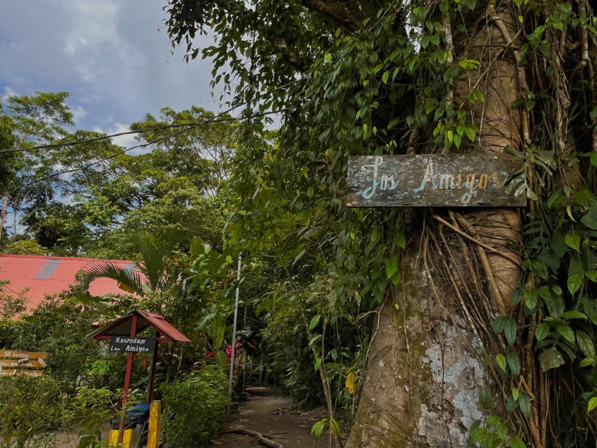 Los Amigos Jungle Hotel ตอร์ตูเกโร ภายนอก รูปภาพ
