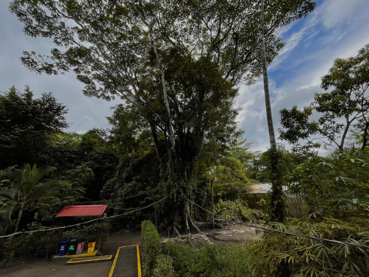 Los Amigos Jungle Hotel ตอร์ตูเกโร ภายนอก รูปภาพ