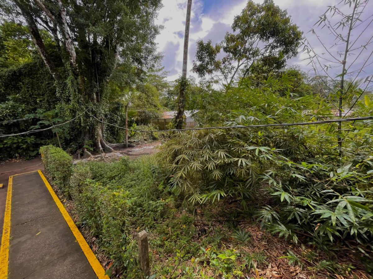 Los Amigos Jungle Hotel ตอร์ตูเกโร ภายนอก รูปภาพ