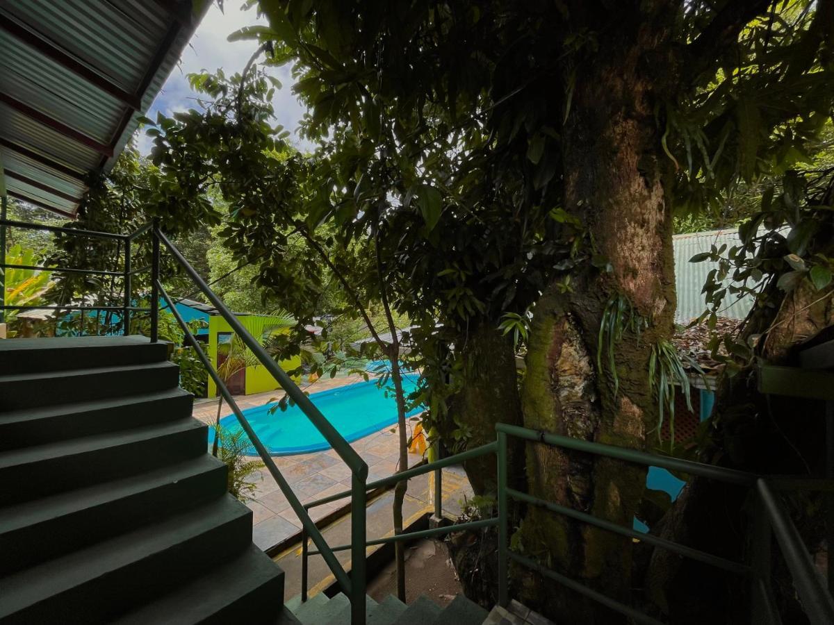 Los Amigos Jungle Hotel ตอร์ตูเกโร ภายนอก รูปภาพ