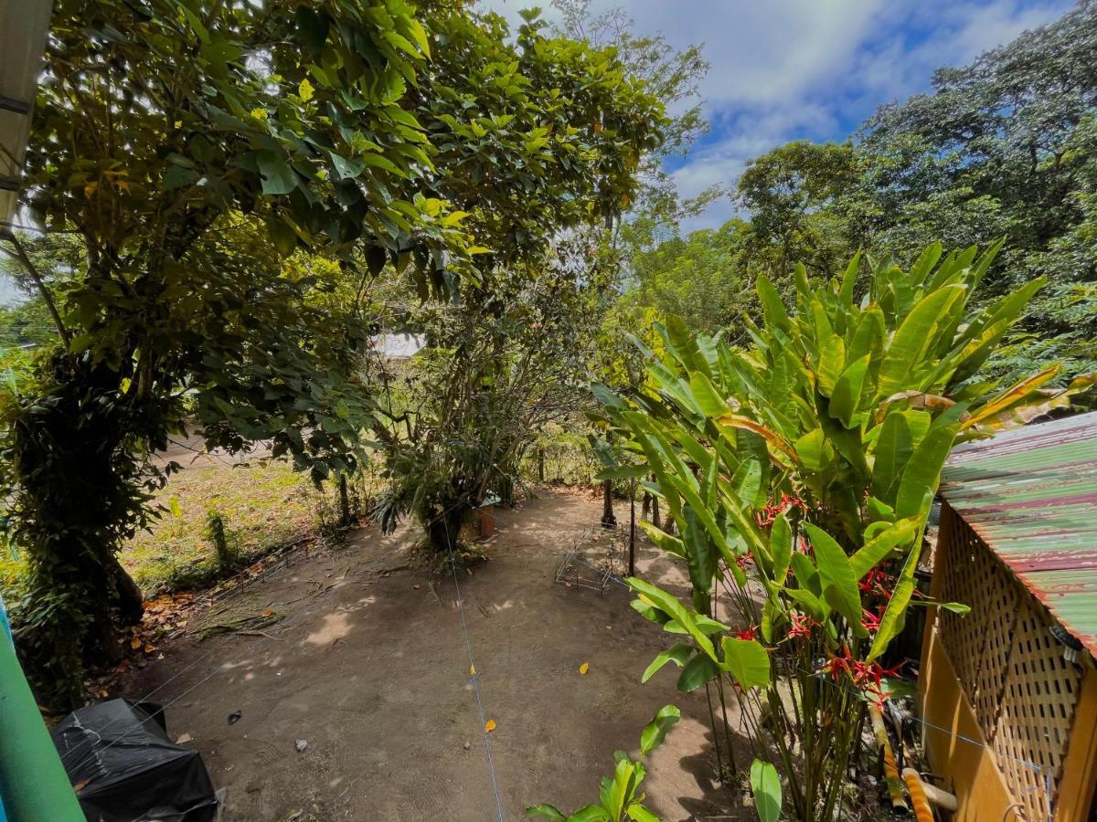 Los Amigos Jungle Hotel ตอร์ตูเกโร ภายนอก รูปภาพ