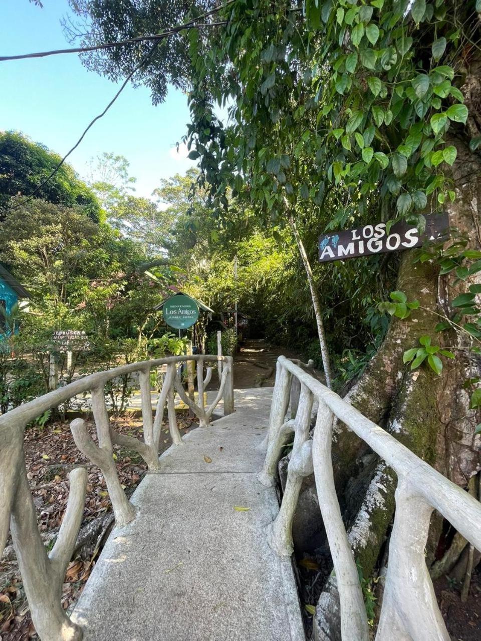 Los Amigos Jungle Hotel ตอร์ตูเกโร ภายนอก รูปภาพ